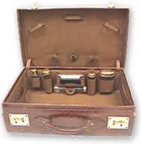 Open reptile skin travelling case with brass locks